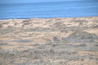 Güzel deniz manzarası