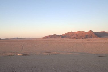 the great white desert