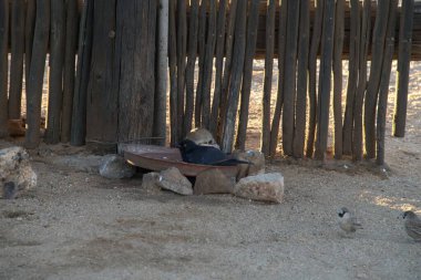 Parktaki eski ahşap çit