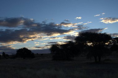 Orta Afrika dağlarında güzel bir günbatımı.