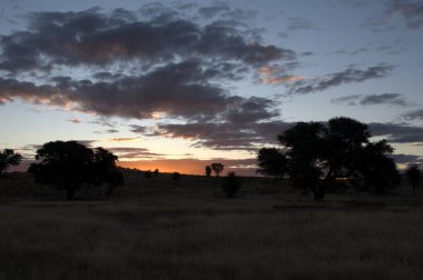 Güneşin batan güneş ışınları