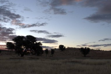 Dağların güzel manzarası