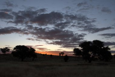 Denizin üzerinde güzel bir gün batımı