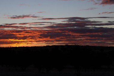 Denizin üzerinde güzel bir gün batımı