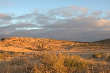 Dağlarda bir ağacı olan güzel bir manzara.
