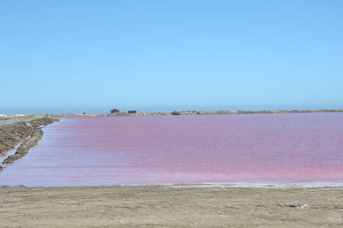 Tuz Gölü pembe su ile