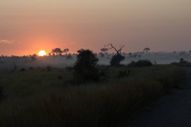 # Gün batımının güzel bir görüntüsü #