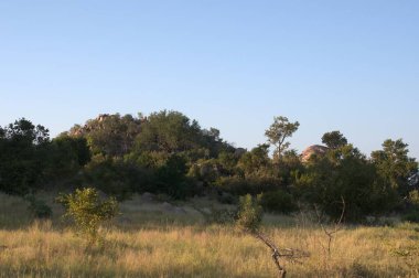 İsrail 'deki Negev Çölü manzarası