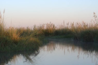 Gölde güzel bir gün batımı.