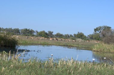 Kırsal bölgedeki nehir.