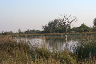 Sabahları gölün güzel manzarası