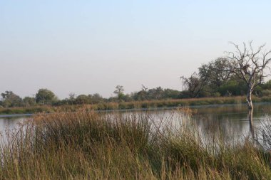 güzel bir nehir manzarası