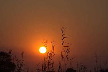 güzel manzaranın resimsel görüntüsü