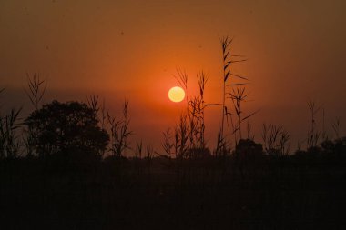 Gölün üzerinde güzel bir gün batımı