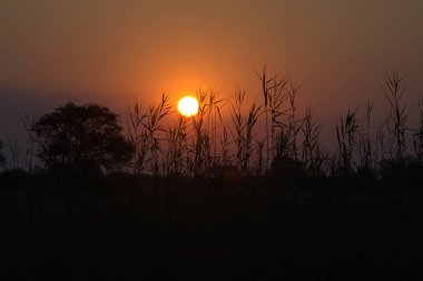 Denizin üzerinde güzel bir gün batımı