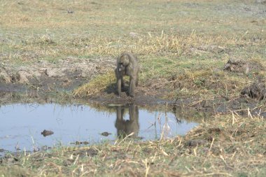 Sudaki genç bir kadının yakın plan fotoğrafı.