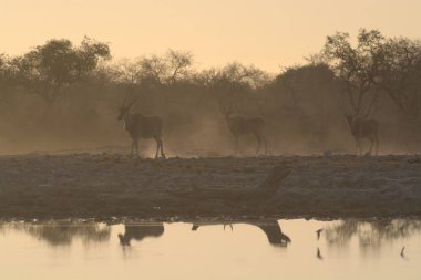Doğanın güzel manzarası