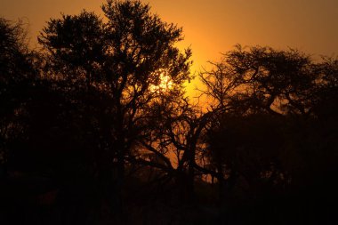 Dağlarda gün batımı