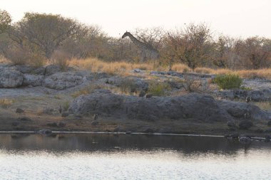 Dağlardaki nehir manzarası