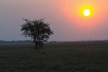 Güzel bir gün batımı manzarası