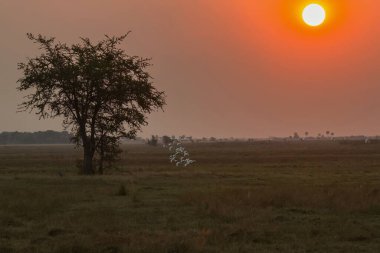 Parkta güzel bir gün batımı