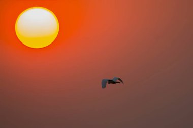 Güzel gün batımı gökyüzü bulutlu