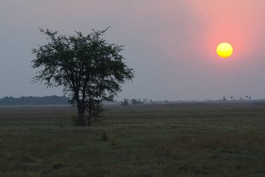 Tarlada güzel bir gün batımı