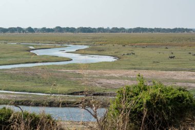 Kırsal bölgedeki nehir manzarası