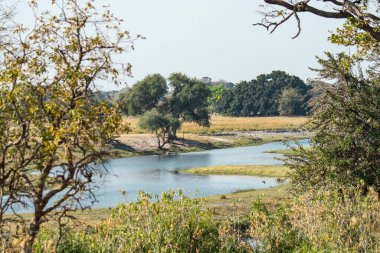 Doğanın güzel manzarası