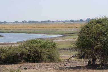 Parktaki güzel bir nehir manzarası.