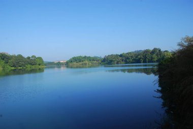 Göllü güzel bir manzara.
