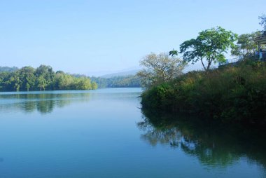 Parkta gölü olan güzel bir manzara.