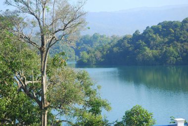 Güzel göl manzarası