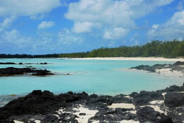 Mavi gökyüzü olan tropik plaj