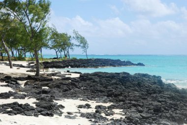 Deniz kıyısının güzel bir görüntüsü.