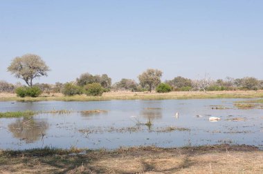 Doğal manzaranın güzel manzarası