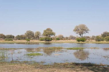 Parktaki nehrin suyu. Manzara Kuzey Tayland 'ın doğasında..