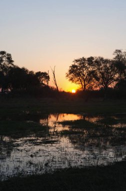 Parkta güzel bir gün batımı