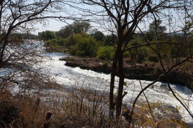 Nehir ve ağaçlı güzel bir manzara.