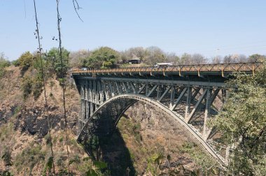 Ormandaki demiryolu köprüsü