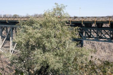 Ormandaki demiryolu köprüsü