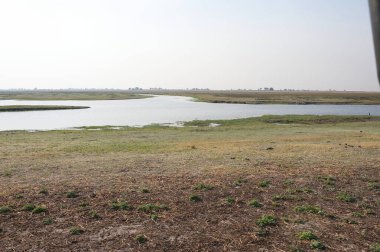 Ağaçları ve çimleri olan bir nehir.