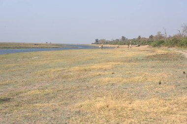 Nehir ve nehir manzarası, Hindistan