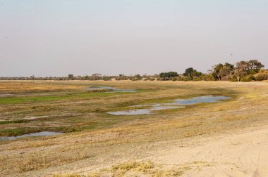Sabahları nehrin güzel manzarası