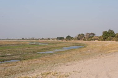 Nehir ve gölü olan güzel bir manzara.
