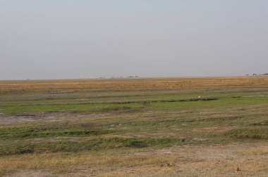 Boselselus Ulusal Parkı, Uganda ovasının manzarası