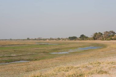 İsrail 'deki Negev Çölü manzarası