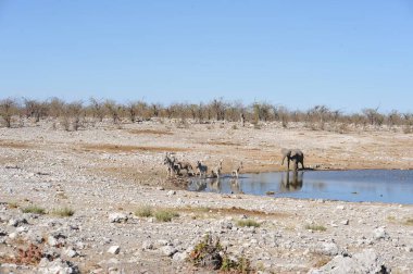 Beyaz suyu olan güzel bir göl görüntüsü.