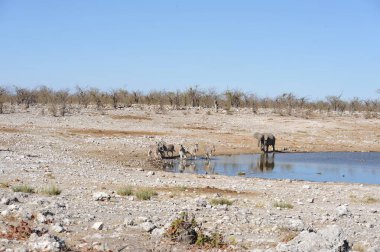 Nehir ve mavi gökyüzü ile güzel manzara