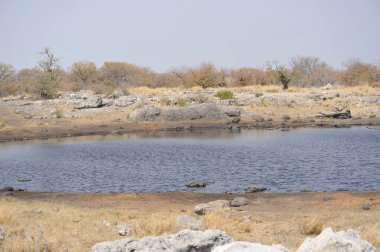 Göl ve dağlarla dolu güzel bir manzara.